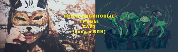 мдпв Армянск