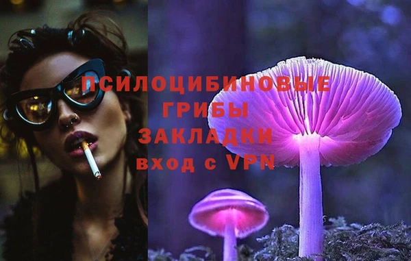 сатива Арсеньев